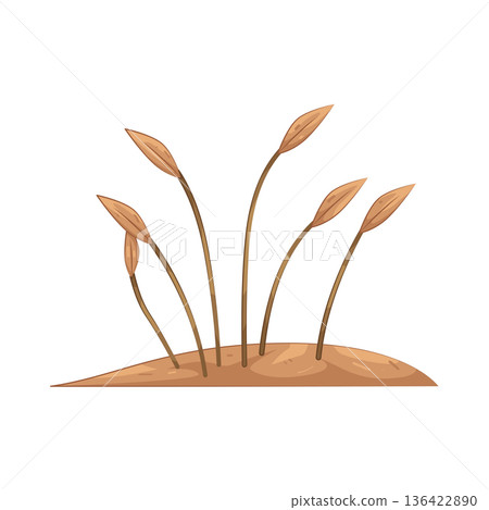 Illustration of Dead grass Illustration of Dead grass 136422890