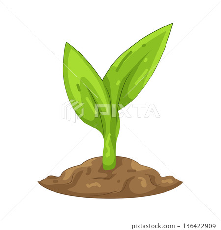 Illustration of sprout  136422909