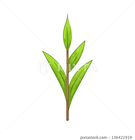 Illustration of grass 136422919