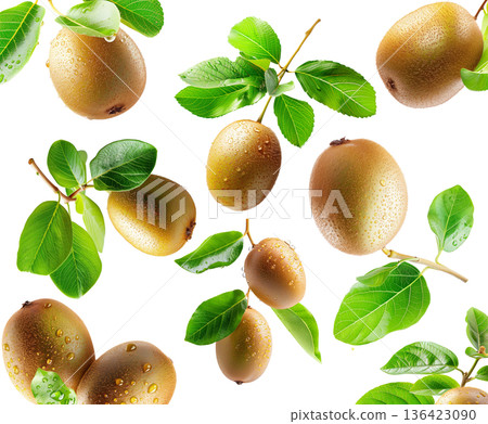 Ripe kiwi fruits with fresh green leaves and water droplets isolated on white background, freshness and organic fruit concept Ripe kiwi fruits with fresh green leaves and water droplets isolated on white background, freshness and organic fruit concept 136423090