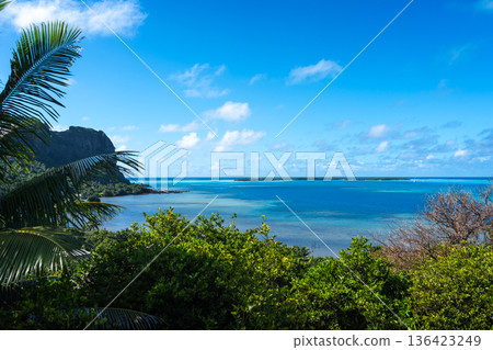Coastal View and Ocean on Maupiti Island, French Polynesia 136423249