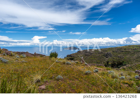 Terraced fields on Amantani Island overlooking Lake Titicaca, Peru 136423268