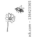 Anemone flower and bee line drawing illustration 136423365
