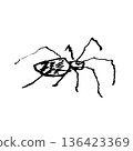 Spider line drawing illustration 136423369