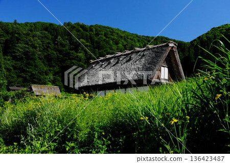 夏天的白川鄉合掌造風格 136423487