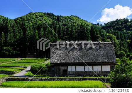 夏天的白川鄉合掌造風格 136423488