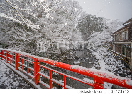 Snowy winter at Shuzenji Snowy winter at Shuzenji 136423540