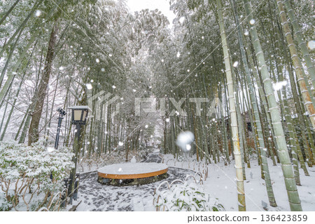 Shuzenji Bamboo Forest Path Snow Scene (Izu City, Shizuoka Prefecture) Shuzenji Bamboo Forest Path Snow Scene (Izu City, Shizuoka Prefecture) 136423859