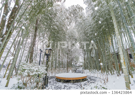 修善寺竹林步道雪景（靜岡縣伊豆市） 136423864