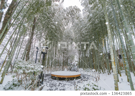 修善寺竹林步道雪景（靜岡縣伊豆市） 136423865