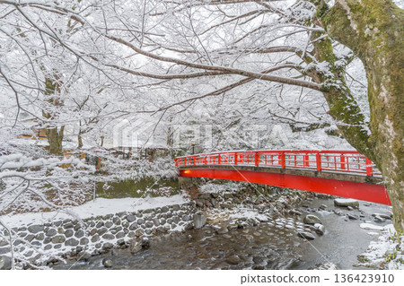 冬天的修善寺 136423910