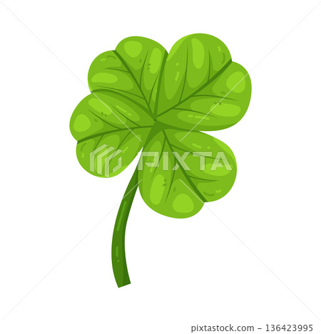 Illustration of clover leaf Illustration of clover leaf 136423995