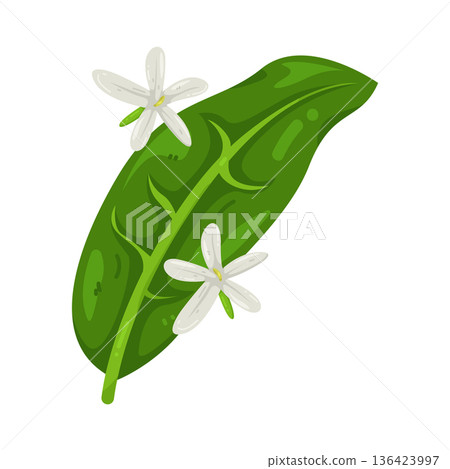 Illustration of Illustration of 136423997