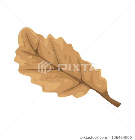 Illustration of dry leaf 136424000