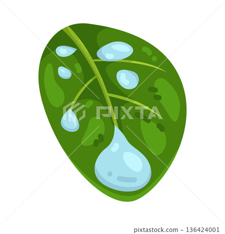 Illustration of dew drop on a leaf 136424001