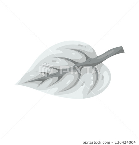 Illustration of leaf Illustration of leaf 136424004