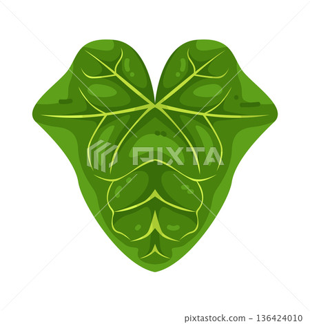 Illustration of Anthurium Crystallinum Leaf 136424010