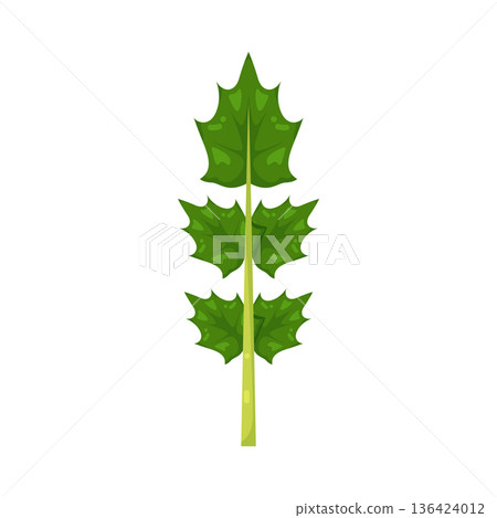Illustration of leaf 136424012