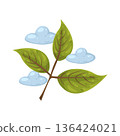 Illustration of leaf 136424021