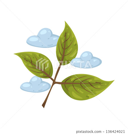 Illustration of leaf Illustration of leaf 136424021
