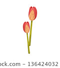 Illustration of Red tulips 136424032