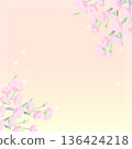 Spring banner background with cherry blossom illustrations (pastel colors, square) Spring banner background with cherry blossom illustrations (pastel colors, square) 136424218