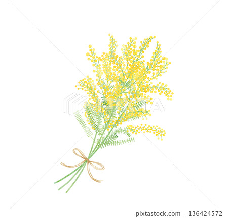 含羞草花束水彩插畫－國際婦女節春季禮物 136424572