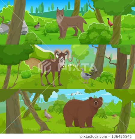 Cartoon wild animals and birds, hunting sport. Wildlife forest scene collection featuring wild animals in natural habitat. Cartoon lynx, mountain sheep with horns and brown bear Cartoon wild animals and birds, hunting sport. Wildlife forest scene collection featuring wild animals in natural habitat. Cartoon lynx, mountain sheep with horns and brown bear 136425545