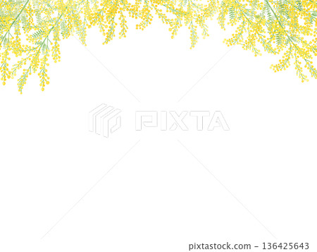 含羞草水彩畫框,頂部留白,春季插畫素材 含羞草水彩畫框,頂部留白,春季插畫素材 136425643