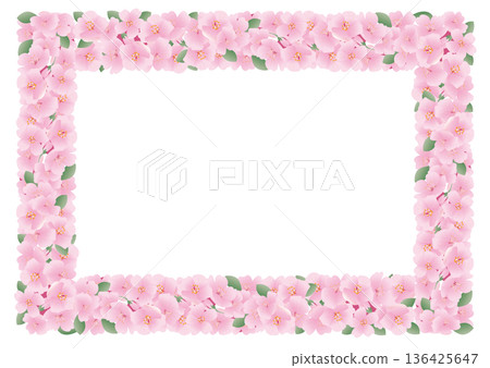 春櫻花花瓣框架 136425647