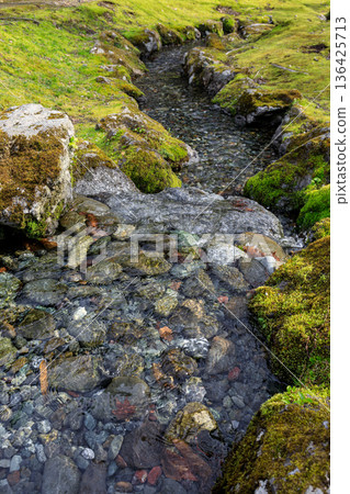 A stream flowing from a spring-fed pond in Meisui Fureai Park, Chitose City, Hokkaido (May) 136425713