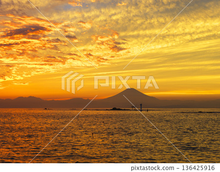 黃昏時分，從神奈川縣葉山町真瀨海灘眺望富士山 136425916