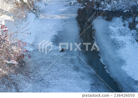 Winter landscape with a frozen river and snow-covered trees in morning sunlight Winter landscape with a frozen river and snow-covered trees in morning sunlight 136426050