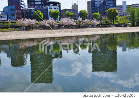 大阪市河濱公園的自然風光 大阪市河濱公園的自然風光 136426203