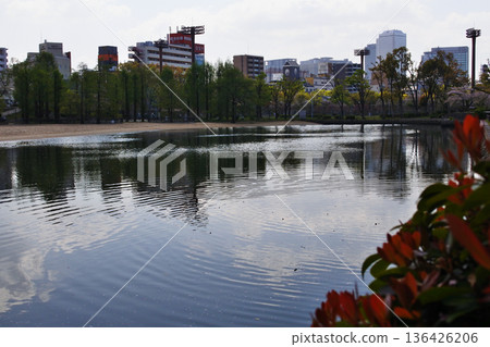 從大阪市河畔公園看到的橋樑景色 從大阪市河畔公園看到的橋樑景色 136426206