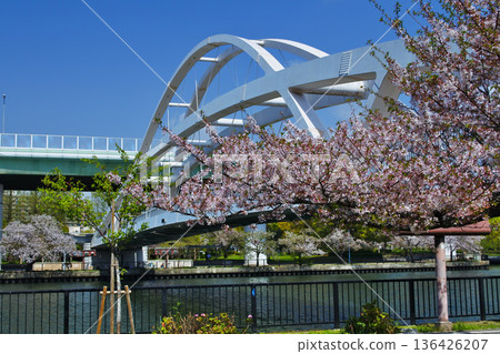 A view of a bridge from a riverside park in Osaka City A view of a bridge from a riverside park in Osaka City 136426207