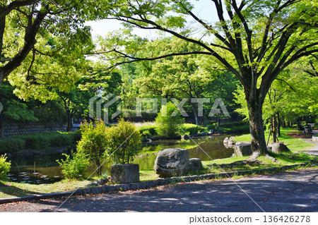 The natural scenery of Osaka City's riverside park The natural scenery of Osaka City's riverside park 136426278