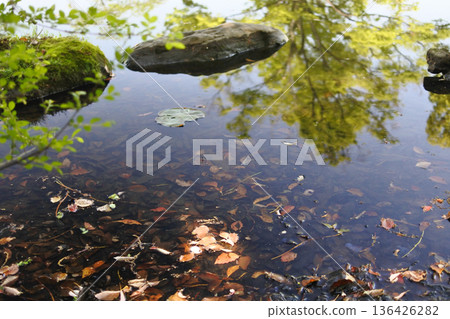 大阪市河濱公園的自然風光 136426282