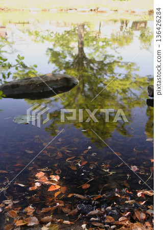 The natural scenery of Osaka City's riverside park 136426284