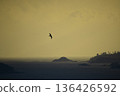 A seabird flying over the Sanriku coast after the Great Tohoku Earthquake 136426592