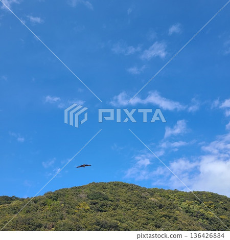 Birds returning to the mountains Birds returning to the mountains 136426884