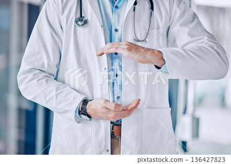 Closeup, hands and hologram with a doctor, human body and neuro with science, spine and biotechnology. Person, futuristic and medical professional with anatomy, hospital and holographic with research Closeup, hands and hologram with a doctor, human body and neuro with science, spine and biotechnology. Person, futuristic and medical professional with anatomy, hospital and holographic with research 136427823