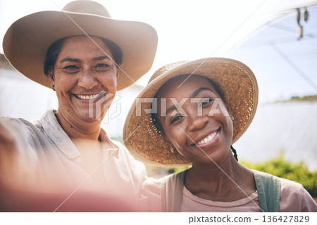 Farm, greenhouse and happy selfie of women, sustainable small business and agriculture partnership. Portrait of girl friends in vegetable farming, diversity and growth in summer with smile in nature. Farm, greenhouse and happy selfie of women, sustainable small business and agriculture partnership. Portrait of girl friends in vegetable farming, diversity and growth in summer with smile in nature. 136427829