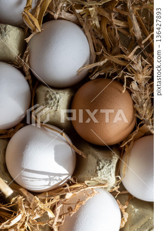 White and brown fresh eggs with dry hay straw. Nature background. Chicken egg in carton box for cooking healthy food. Bio organic eggs on the farm. White and brown fresh eggs with dry hay straw. Nature background. Chicken egg in carton box for cooking healthy food. Bio organic eggs on the farm. 136427893
