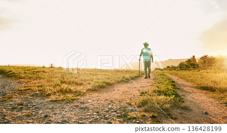 Sun flare, farm and man with agriculture, countryside and walking with grass field, nature and fresh air. Person, farmer and guy with growth, industry and landscape with sustainability or environment 136428199