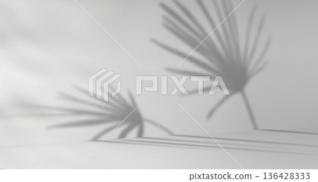 Monstera leaves shadow on white wall Monstera leaves shadow on white wall 136428333