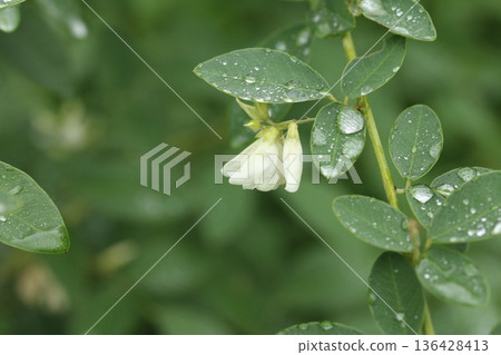 A drop A drop 136428413