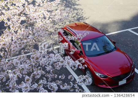 Drive image Sakura Drive image Sakura 136428654