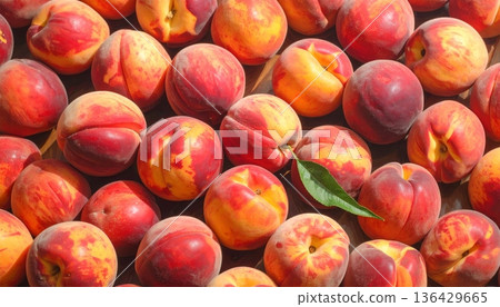 A closeup of fresh organic peaches on a market table alongside ripe juicy red apples isolated on white for a healthy vegetarian diet A closeup of fresh organic peaches on a market table alongside ripe juicy red apples isolated on white for a healthy vegetarian diet 136429665