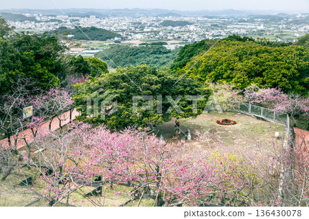 Scenery from Yaese Park Scenery from Yaese Park 136430078